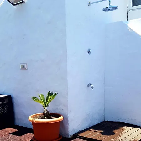 Palmeral Pami * Agaete (Gran Canaria)