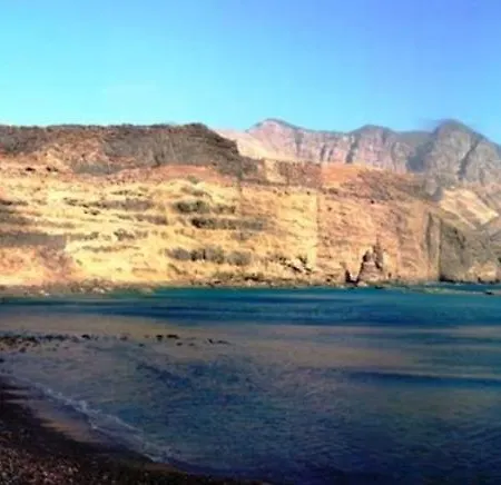 Palmeral Pami
